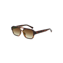 CLEO TORT GRADIENT